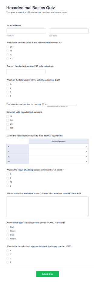 Hexadecimal Basics Quiz Form Template