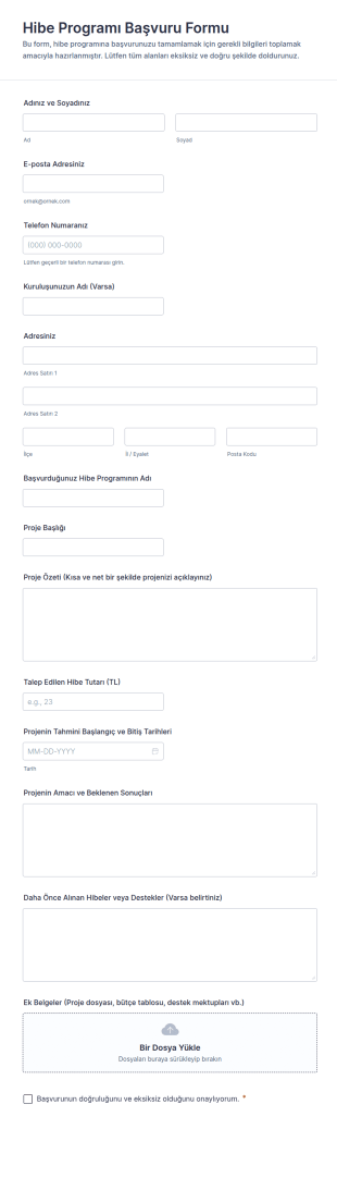 Hibe Programı Başvuru Form Şablonu