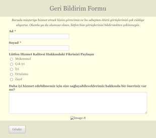 Hizmet Kalitesi Geri Bildirim Form Template