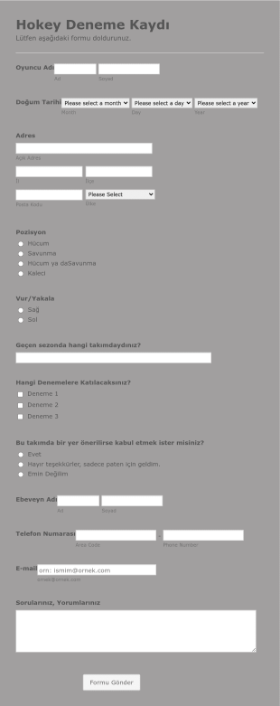 Hokey Oyuncusu Deneme Kayıt Form Template