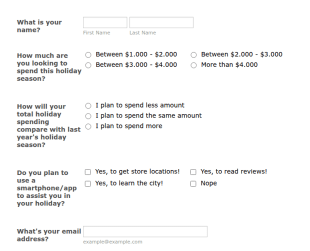 Holiday Survey Form Template