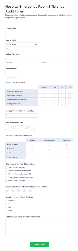 Hospital Emergency Room Efficiency Audit Form Template