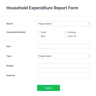 Household Expenditure Report Form Template