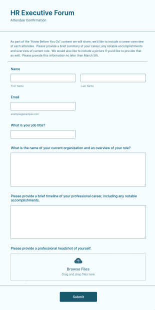 HR Executive Form Template