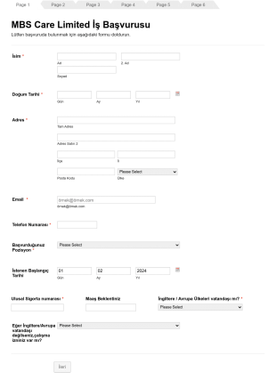 Huzurevi Bakım İş Başvuru Form Template