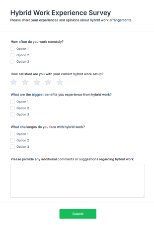 Hybrid Work Experience Survey Form Template