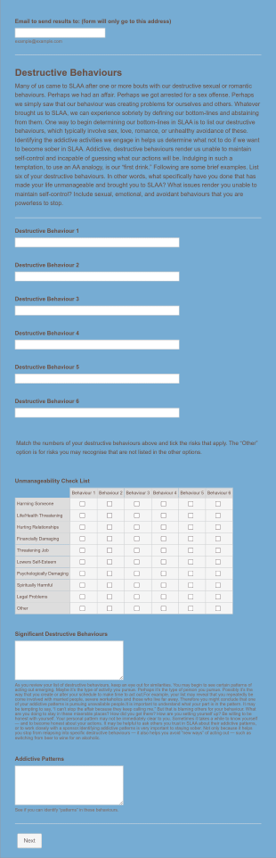 SLAA Recovery Questionnaire Form Template