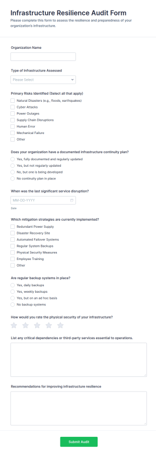 Infrastructure Resilience Audit Form Template