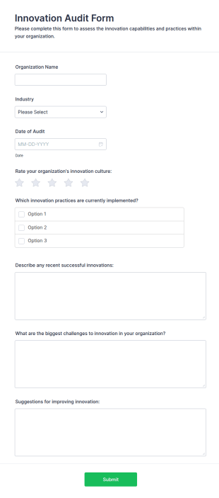 Innovation Audit Form Template
