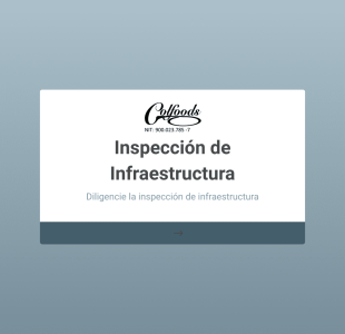 Inspección De Infraestructura Form Template