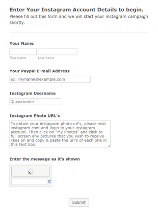 Instagram Campaign Request Form Template