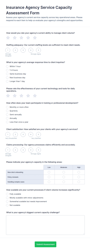 Insurance Agency Service Capacity Assessment Form Template