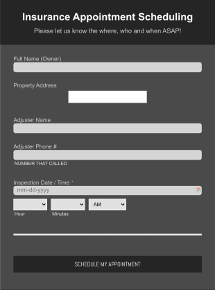 Insurance Appointment Scheduling Form Template
