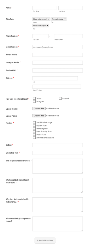 Intern Application Form Template