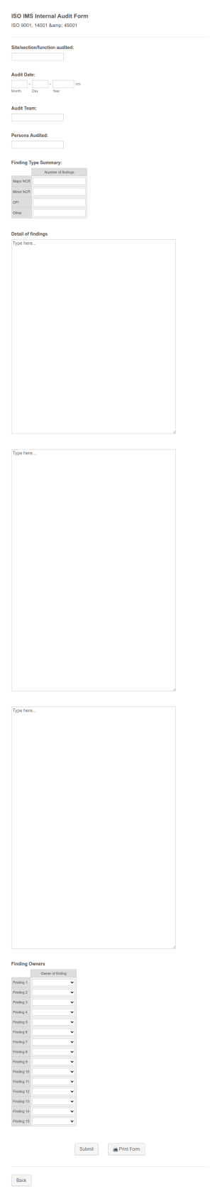 Internal Audit Report Form Template