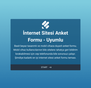 İnternet Sitesi Anket Formu Uyumlu Form Template