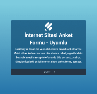İnternet Sitesi Anket Formu Uyumlu Form Şablonu