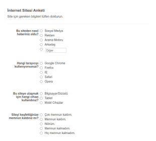 İnternet Sitesi Anket Formu Uyumlu Form Şablonu