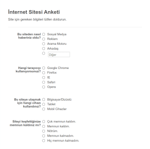 İnternet Sitesi Anket Formu Uyumlu Form Template