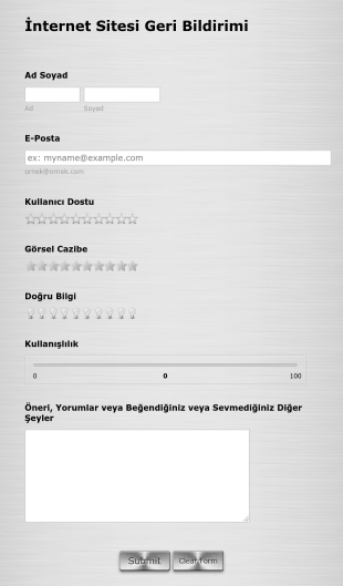 İnternet Sitesi Geri Bildirim Form Şablonu