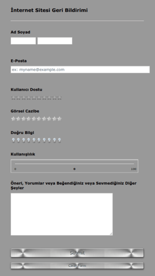 İnternet Sitesi Geri Bildirim Form Şablonu