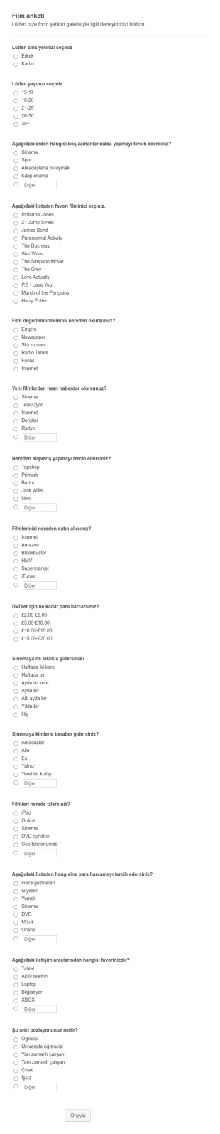 İnternet Sitesi Geribildirim Anketi Form Şablonu