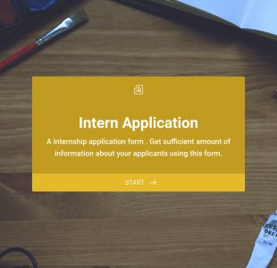 Online Internship Application Form Template