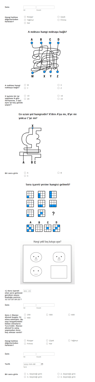 IQ Testi Form Şablonu