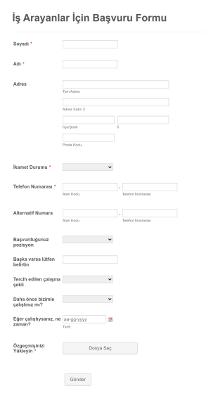 İş Arayanlar İçin Başvuru Form Template