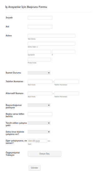 İş Arayanlar İçin Başvuru Form Şablonu
