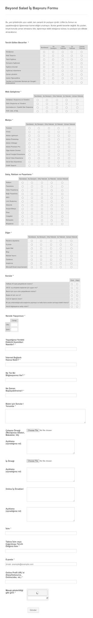 İş Başvuru Formu Örneği Form Template