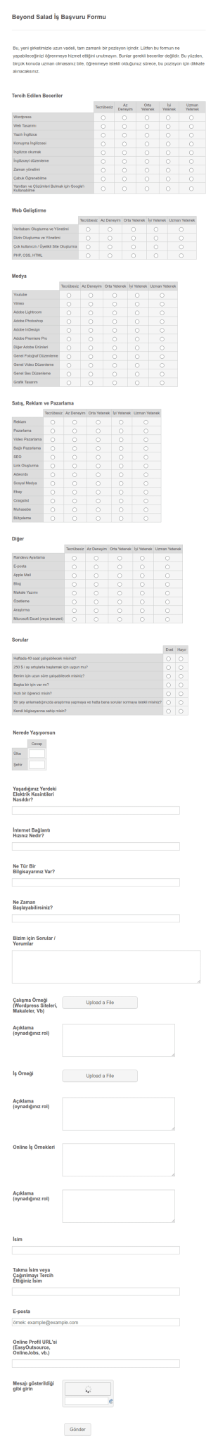 İş Başvuru Formu Örneği Form Şablonu