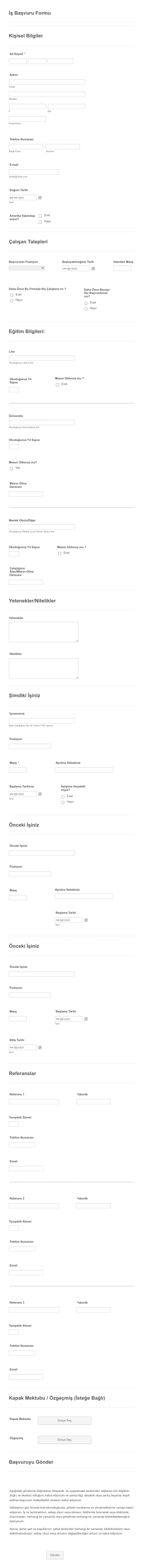 İş Başvuru Form Template