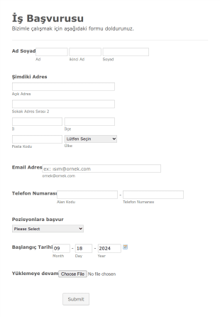 İş Başvuru Ve Bilgi Form Template