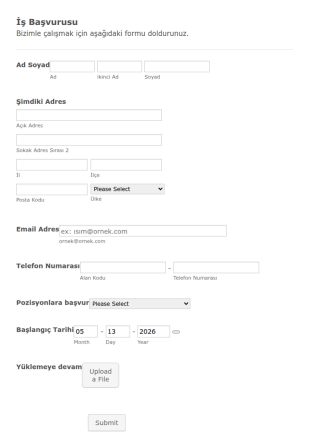 İş Başvuru Ve Bilgi Form Şablonu