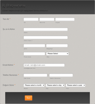 İş Başvuru Ve Görüşme Form Template