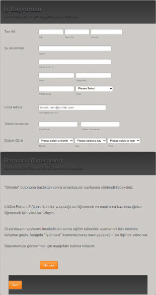 İş Başvuru Ve Görüşme Form Şablonu
