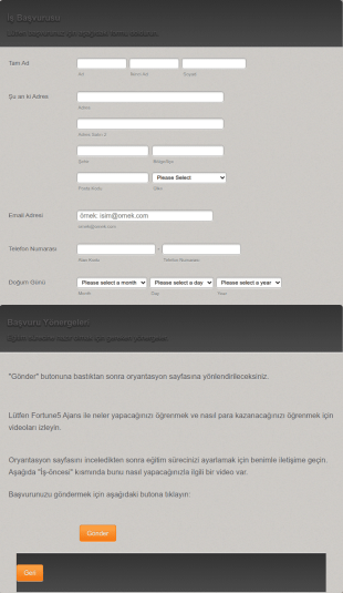 İş Başvuru Ve Görüşme Form Şablonu