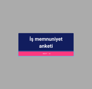 İş Memnuniyet Anketi Form Template