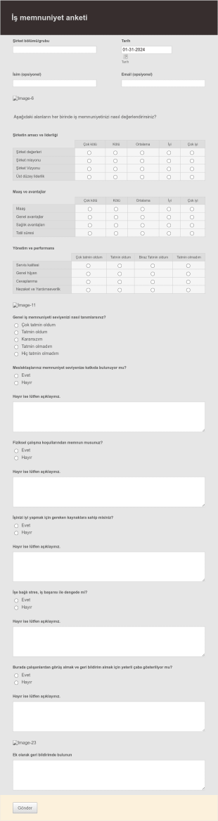 İş Memnuniyet Anketi Form Şablonu