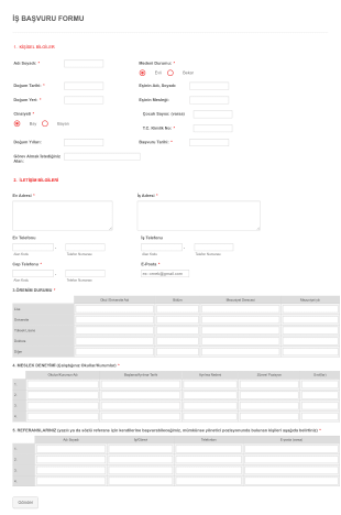 İş Müracaat Form Template