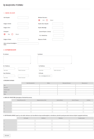İş Müracaat Form Şablonu