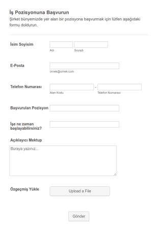 İş Pozisyonuna Başvuru Form Şablonu