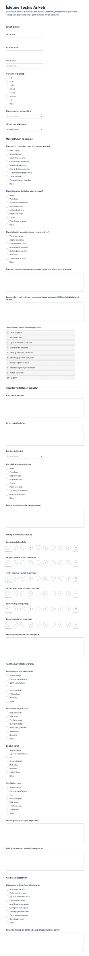 İş Tanısı Anketi Form Şablonu