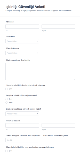 İşbirliği Güvenliği Anketi Form Şablonu