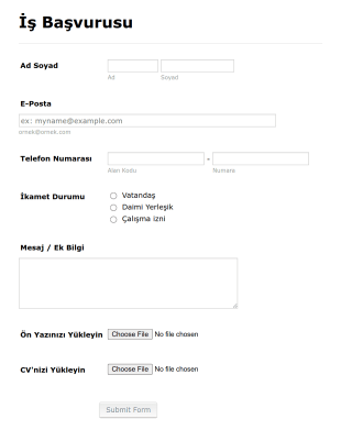 İşe Alım Başvuru Form Template