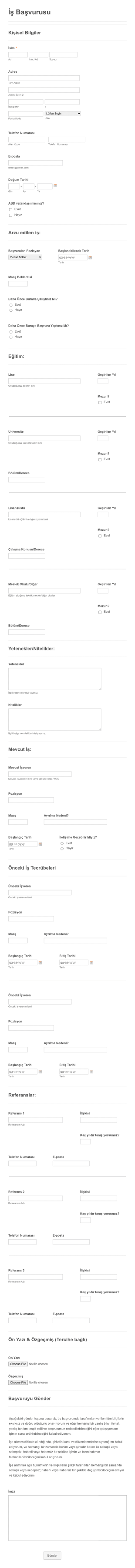 İşe Alım Için Başvuru Form Template