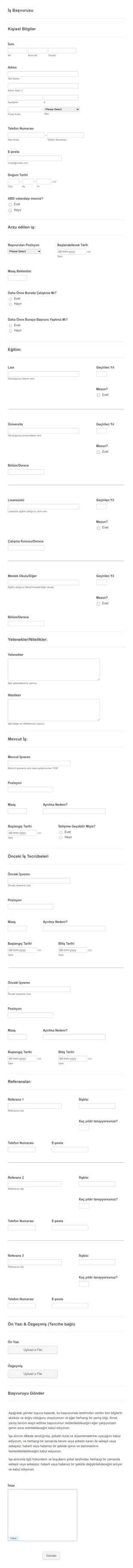 İşe Alım Için Başvuru Form Şablonu