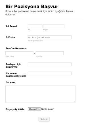 İşe Başvuru Form Template