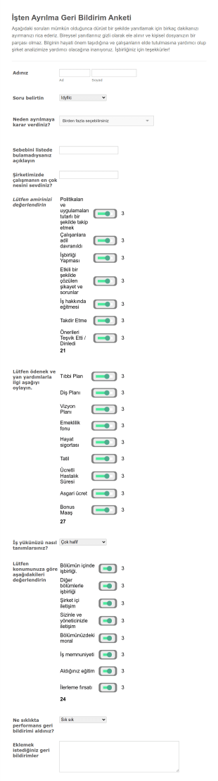 İşten Ayrılma Geri Bildirim Form Template